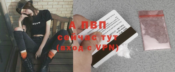 хмурый Богородск