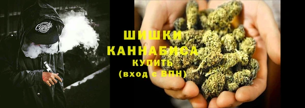 стаф Белокуриха