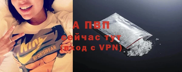 хмурый Богородск