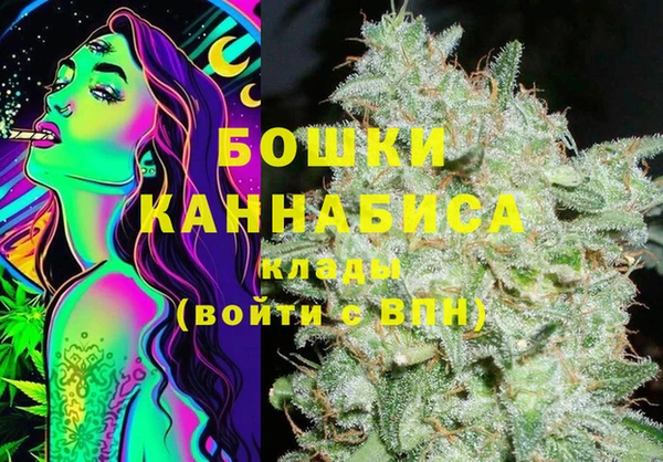 стаф Белокуриха