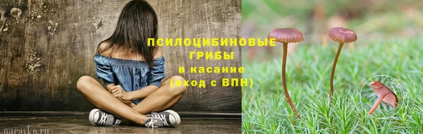 твердый Фурманов