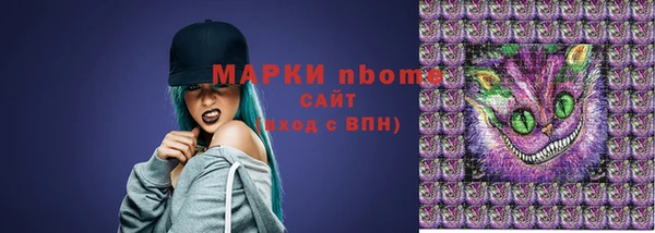 стаф Белокуриха